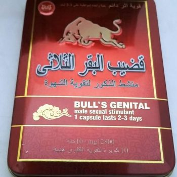 bulls-genital
